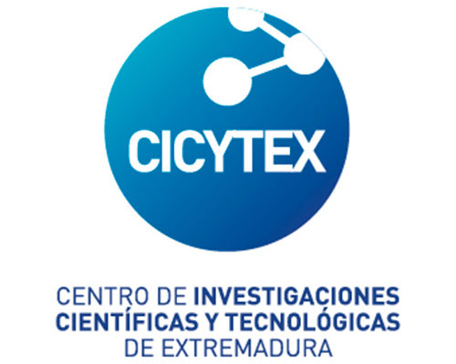 Citytex