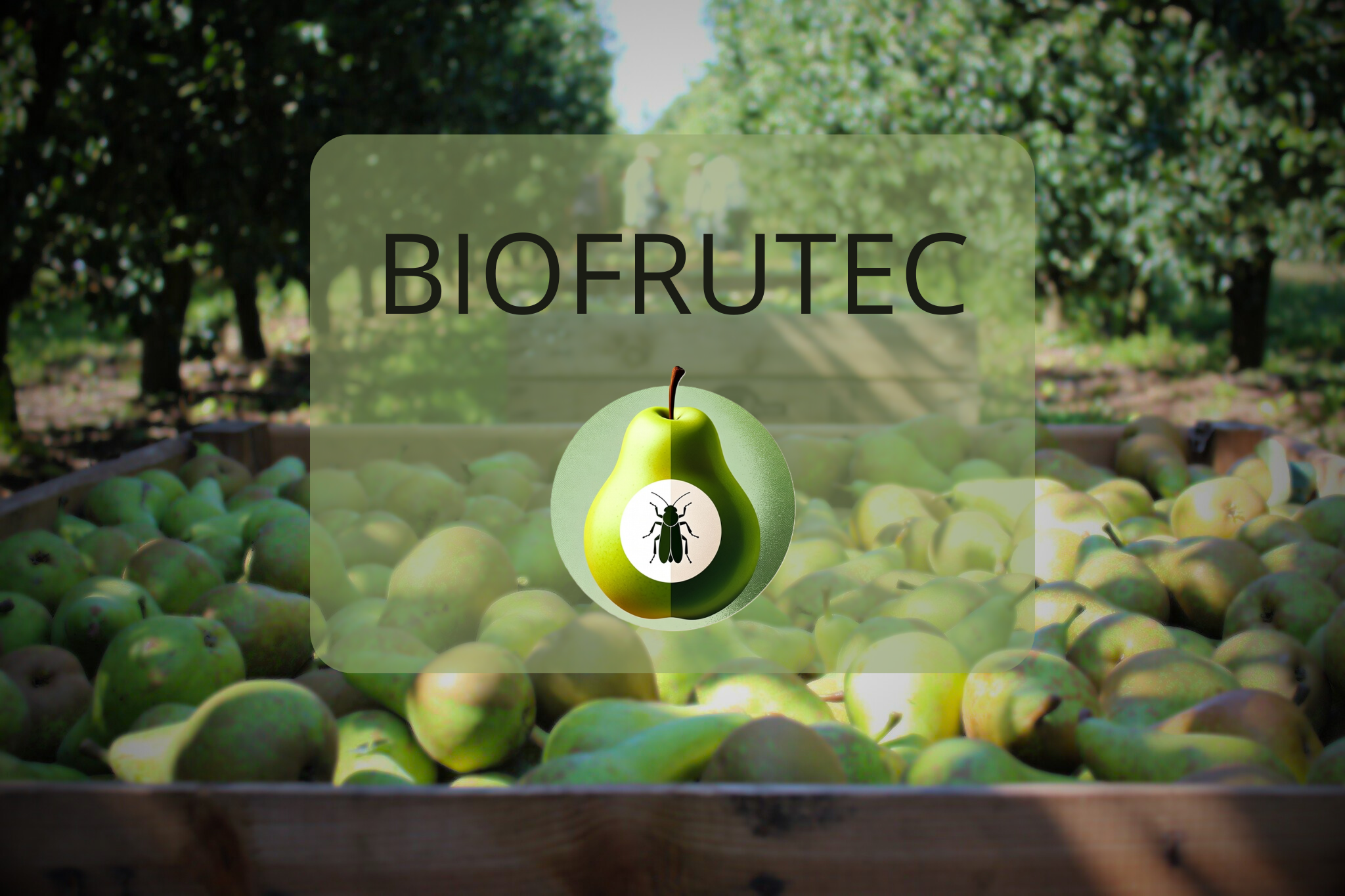 Proyecto BIOFRUTEC